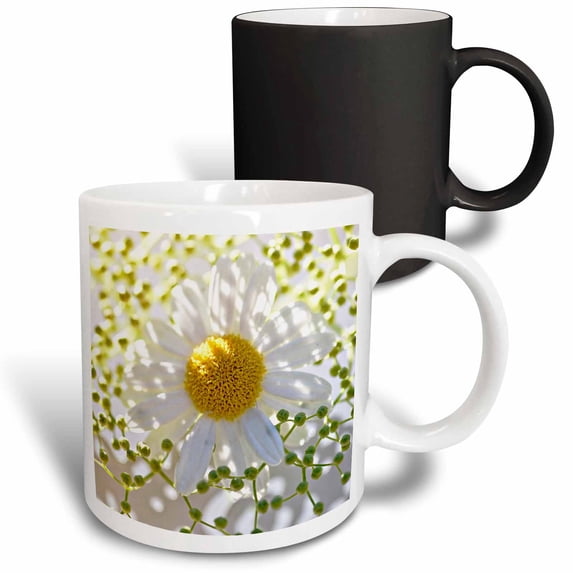 3drose, Pretty in Nature White Daisy with Cute Green Photography, 11oz Magic Transforming Mug