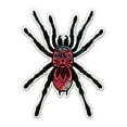 thumbnail image 1 of Pretty Ornate Tarantula Spider - 12" Vinyl Sticker Waterproof Decal, 1 of 1
