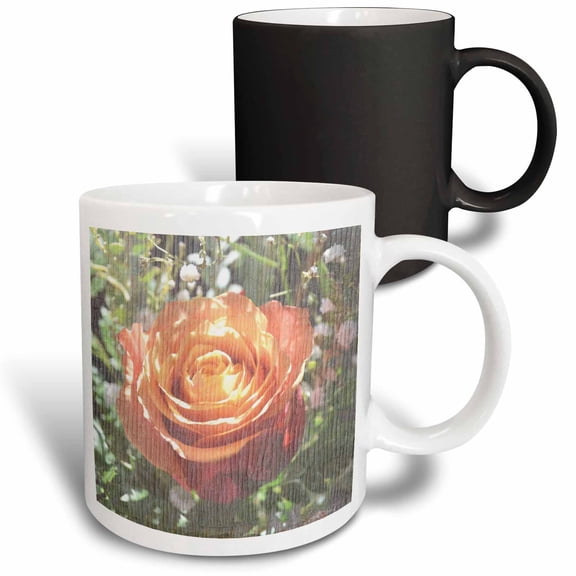 3drose, Pretty Peach Rose Floral Flowers, 11oz Magic Transforming Mug