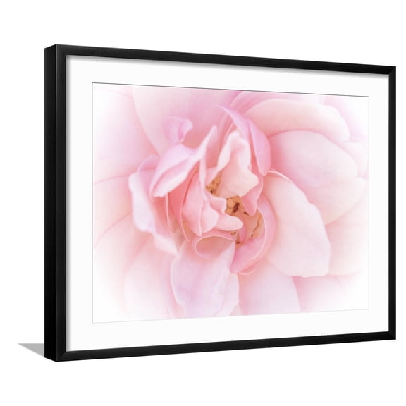 Art.com Pretty Pink Blooms III Art Print by Eva Bane, Black Frame Wall Art, 29" x 23"