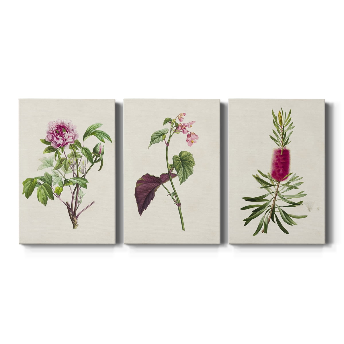 Pretty Pink Botanicals V Premium Gallery Wrapped Canvas - Ready to Hang - 18 x 27 Each