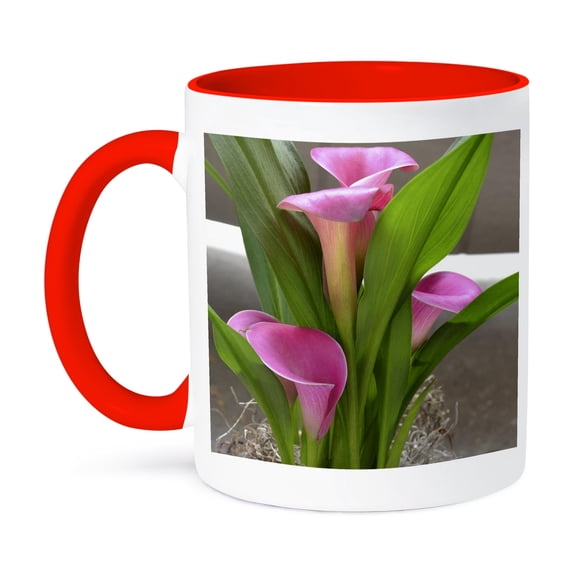 3dRose, Pretty Pink Calla Lily Flowers- Floral Photography, 11oz Two-Tone Red Mug