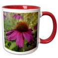 thumbnail image 1 of 3drose, Pretty Pink Echinacea Flowers Macro Photography, 15oz Two-tone Red Mug, 1 of 6