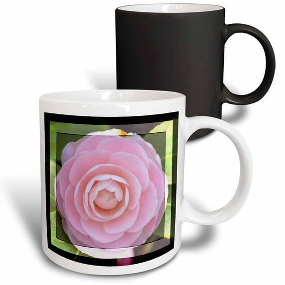 3drose, Pretty Rose- Romantic Flowers- Pink Floral Photography, 11oz Magic Transforming Mug