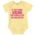 thumbnail image 1 of Pretty See Big Sister Siblings Bodysuit Jumper Girls Infant Baby Brisco Brands 12M, 1 of 6