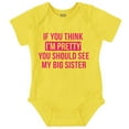 thumbnail image 1 of Pretty See Big Sister Siblings Bodysuit Jumper Girls Infant Baby Brisco Brands 24M, 1 of 6