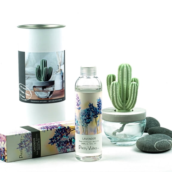 Pretty Valley Home Cactus Ceramic Diffuser Combo (Lavender) Scent 200ml