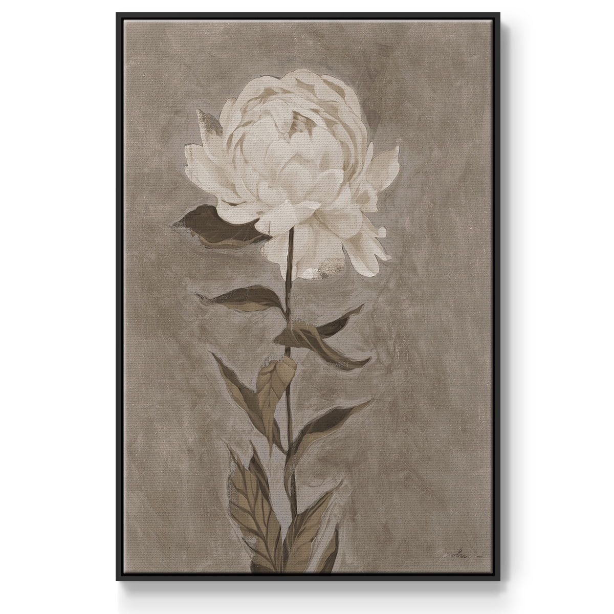 Pretty as a Peony I Framed Premium Gallery Wrapped Canvas - Ready to Hang - 25 x 37 - Black Floating Frame