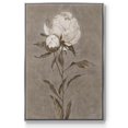 thumbnail image 1 of Pretty as a Peony II Framed Premium Gallery Wrapped Canvas - Ready to Hang - 17 x 25 - Silver Floating Frame, 1 of 9