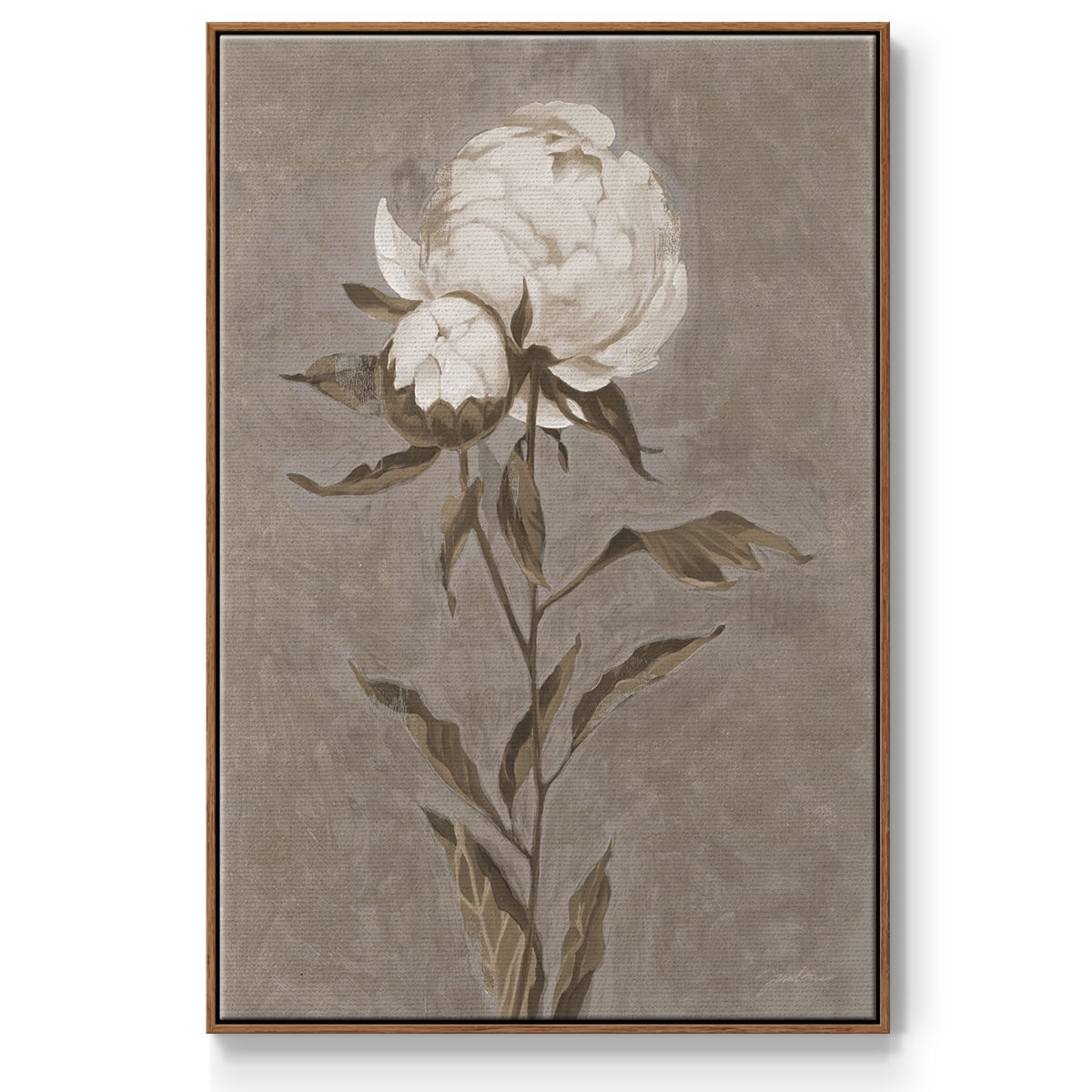 Pretty as a Peony II Framed Premium Gallery Wrapped Canvas - Ready to Hang - 17 x 25 - Walnut Floating Frame