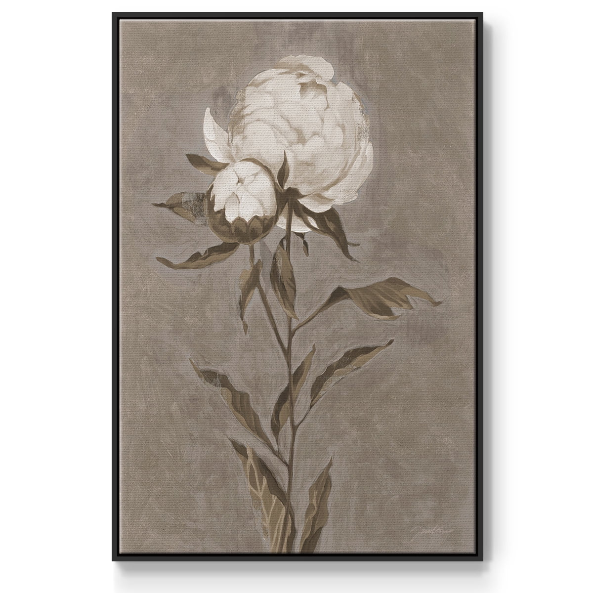 Pretty as a Peony II Framed Premium Gallery Wrapped Canvas - Ready to Hang - 25 x 37 - Black Floating Frame