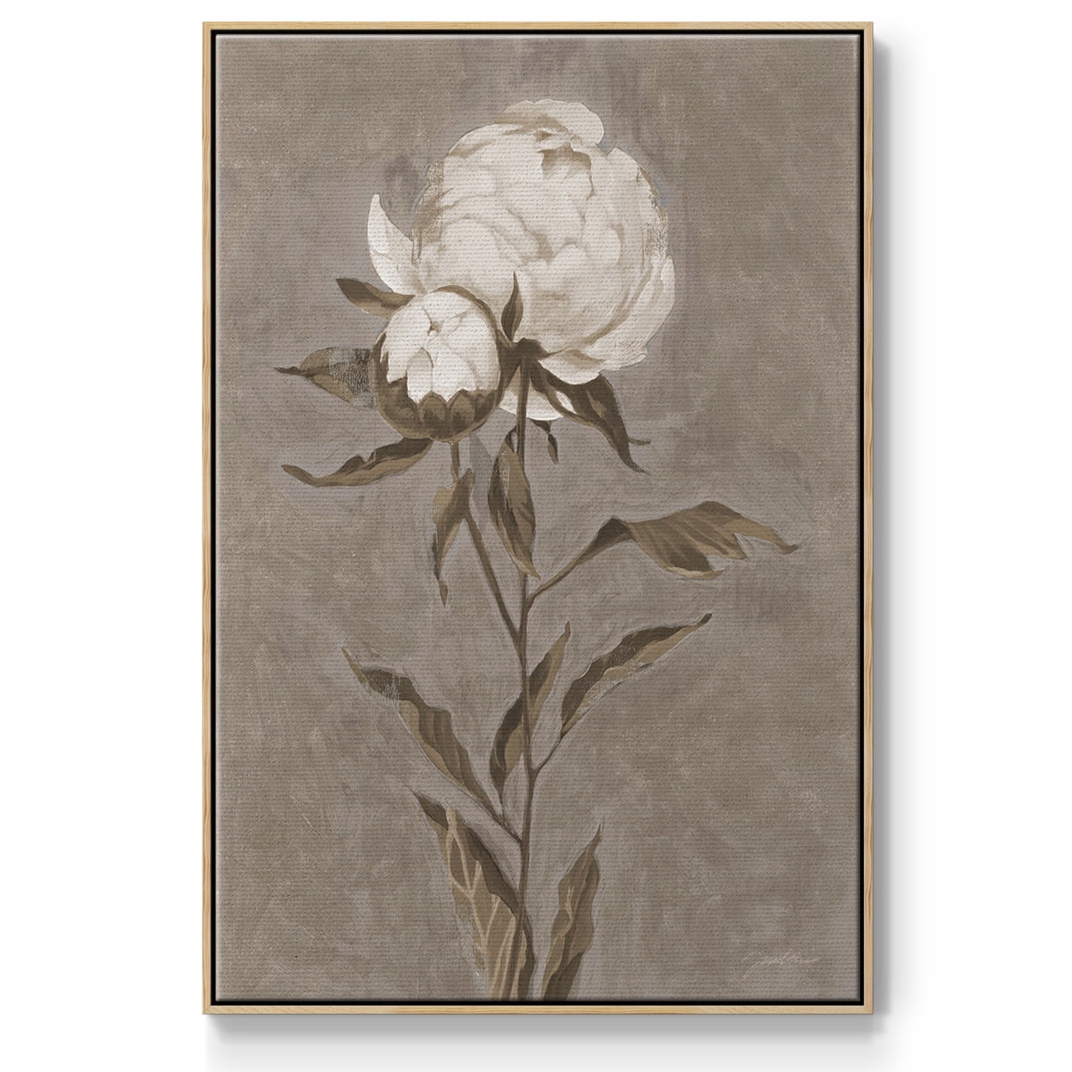Pretty as a Peony II Framed Premium Gallery Wrapped Canvas - Ready to Hang - 25 x 37 - Natural Wood Floating Frame