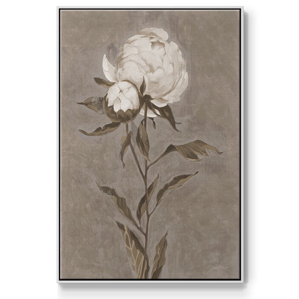 Pretty as a Peony II Framed Premium Gallery Wrapped Canvas - Ready to Hang - 25 x 37 - White Floating Frame