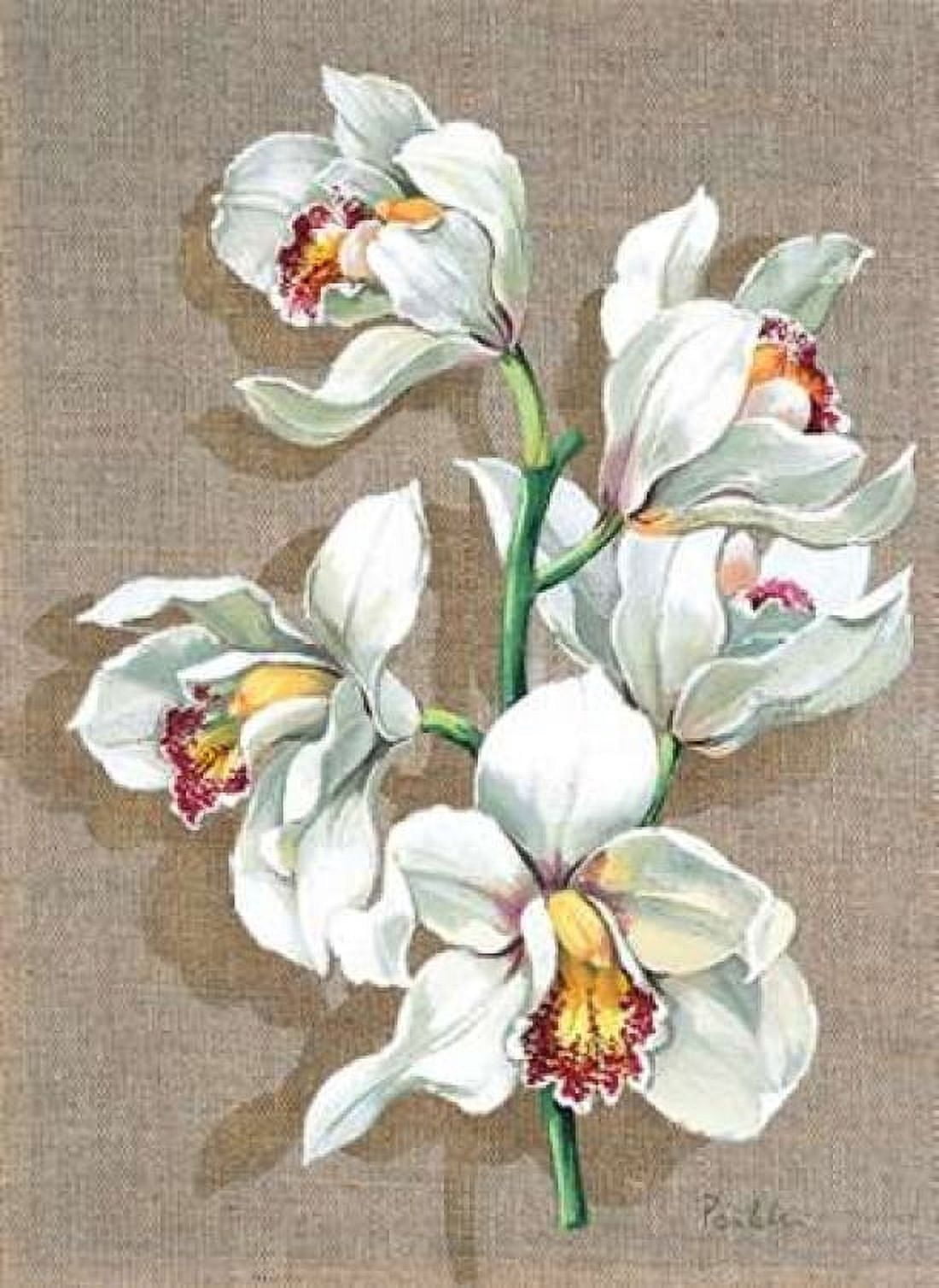 Pretty floral I Canvas Art - Krysztov Kumorek (20 x 28)