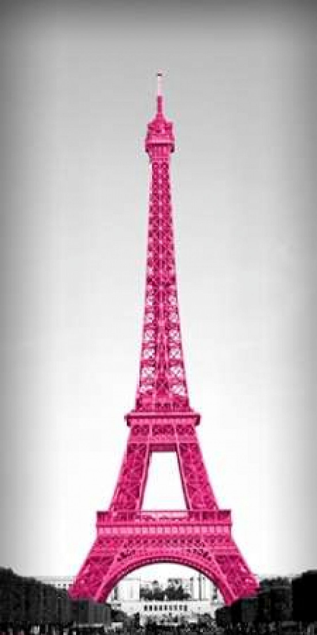 Pretty in Paris Canvas Art - Emily Navas (24 x 48)