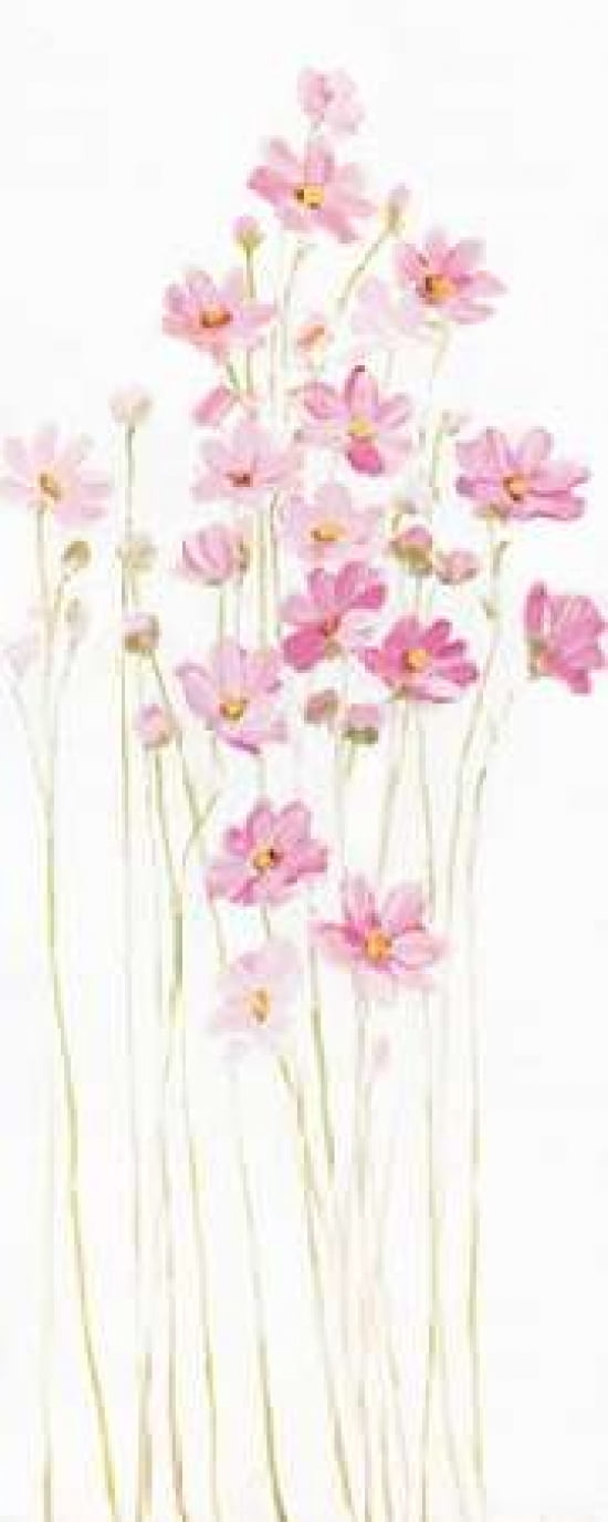Pretty in Pink I Canvas Art - Sally Swatland (24 x 48)