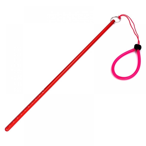 Prettyui Diving Aluminum Alloy Lobster Stick Pointer Rod And Rubber Lanyard Watch