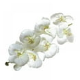 thumbnail image 1 of Prettyui Home DIY Artificial Butterfly Orchid Silk Flower Decorations, 1 of 2