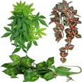 thumbnail image 1 of Prettyui Plant Reptile Terrarium Landscaping Simulation Plant Rattan 3 Package 3 Green Dill, 1 of 6