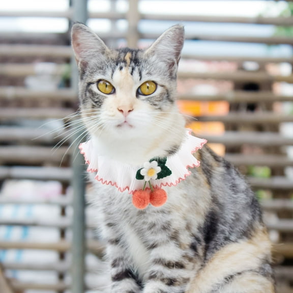 Pretyzoom 1 Set Delicate Cat Collar Pink Lace for Wedding Wear and Photography Props