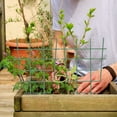 thumbnail image 1 of Pretyzoom Plastic Plant Support Green Vine Climbing Stand for Garden Use, 1 of 7