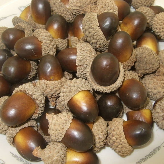 Pretyzoom 100pcs Foam Artificial Acorns Lifelike Simulation for Living Room Decor