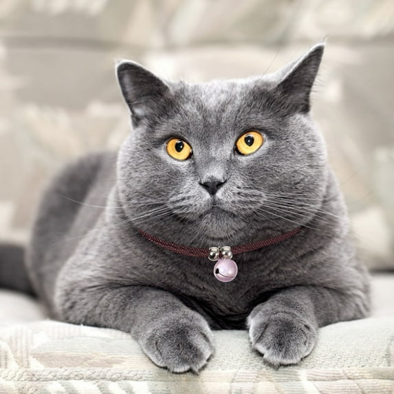 Pretyzoom 2Pcs Puppy Bell Collar Assorted Colors Adjustable Comfortable for Daily Wear and Holidays