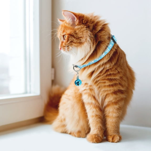 Pretyzoom 5Pcs Thin Cat Collar Nylon Sky-blue Outdoor Use for Daily Life