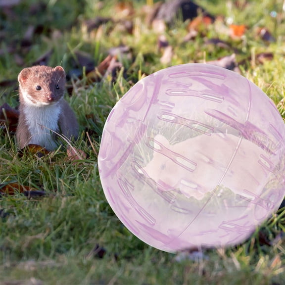 Pretyzoom Hamster Toys Pink for Indoor Entertainment 1Pack