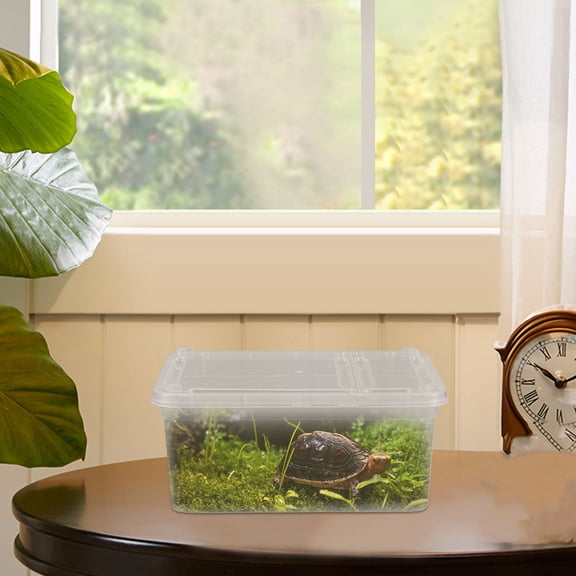 Pretyzoom Acrylic Reptile Habitat Enclosure Lightweight Feeding Box Suitable for Small Turtles and Spiders