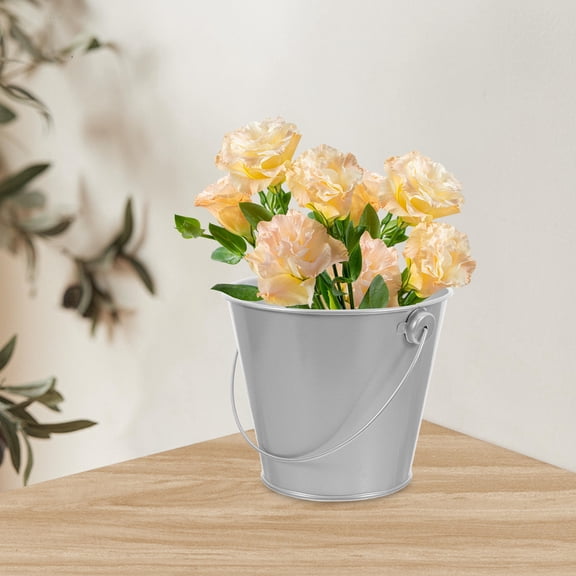 Pretyzoom Small Plated Silver Iron Bucket Tinplate for Party Favors Candy Holder Flower Pot Decoration