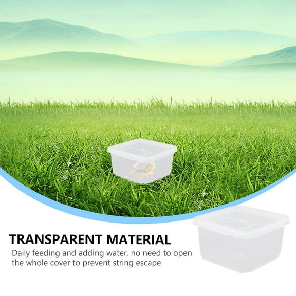 Pretyzoom Reptile Cage Spider Breeding Habitat Box Flipped Lid Design 1Pcs