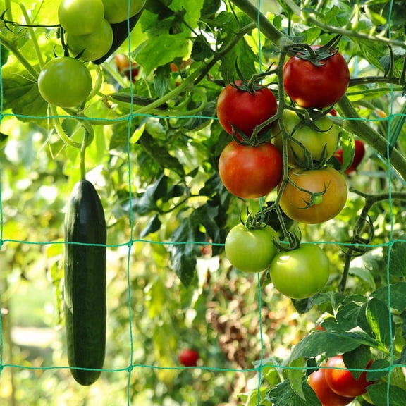 Pretyzoom Garden Trellis Net for Climbing Plants Green Plastic Mesh for Outdoor and Indoor Plant Support