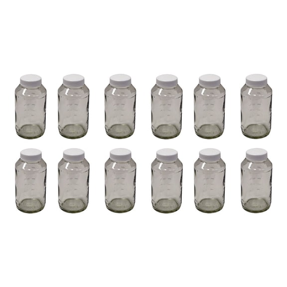 Preval Spray Gun 269 Spray Gun Paint Container 12 Pack