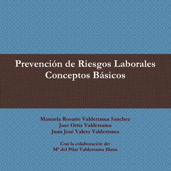 Prevencin de Riesgos Laborales: Conceptos Bsicos, (Paperback)