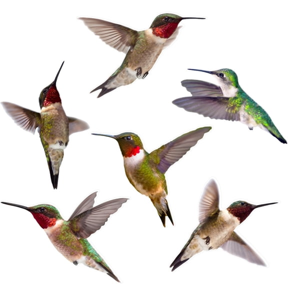 Prevent Bird Accidents with Easily Apply Window Decals Safety and Beauty AntiCollision Cling Decals for Glass Protectors