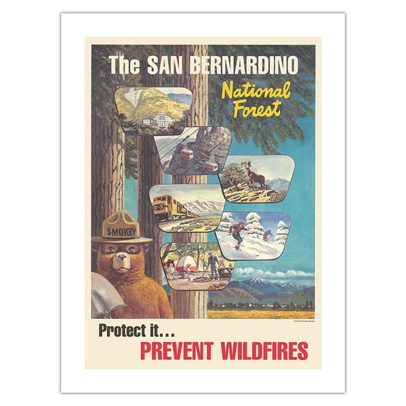Prevent Wildfires - San Bernardino National Forest - Vintage Travel Poster c.1960s - Fine Art Matte Paper Print (Unframed) 24x32in