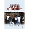 thumbnail image 1 of Pre-Owned Preventing and Reducing Juvenile Delinquency: A Comprehensive Framework Paperback, 1 of 1