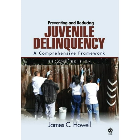 Pre-Owned Preventing and Reducing Juvenile Delinquency: A Comprehensive Framework Paperback