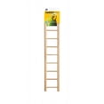 thumbnail image 1 of Prevue Birdie Basics Ladder [Bird, Ladders Wood] 9 Rung Ladder, 1 of 1