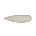 thumbnail image 1 of Prevue Pet IP1148 4 in. Extra Protection Cuttlebone with Holder, Natural, 1 of 1