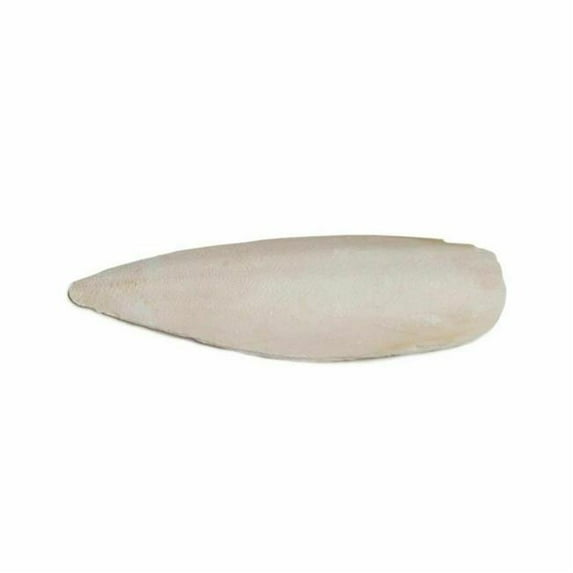 Prevue Pet IP1148 4 in. Extra Protection Cuttlebone with Holder, Natural
