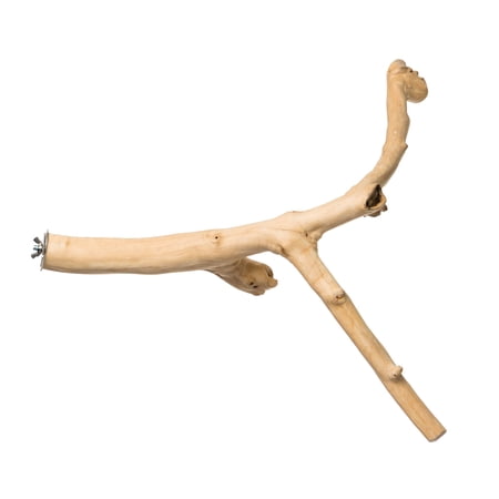 Prevue Pet Products 24 inch Y-Branch Coffea Wood Bird Perch 1053