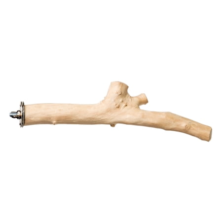 Prevue Pet Products 9 inch Straight Branch Coffea Wood Bird Perch 1040