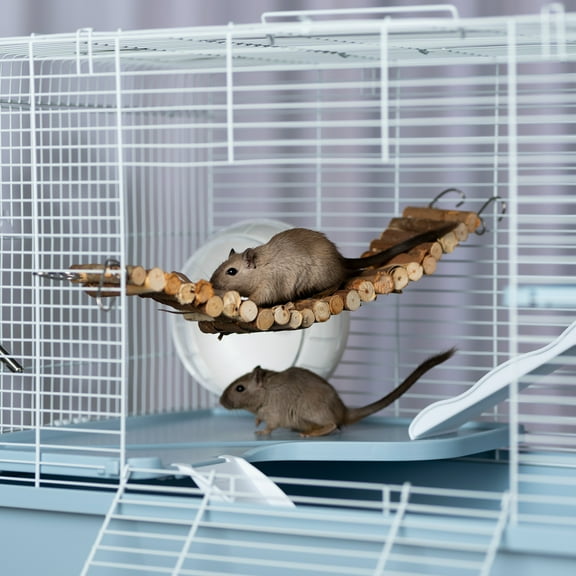 Prevue Pet Products Bendy Bridge / small Small Animal Accessory 11054