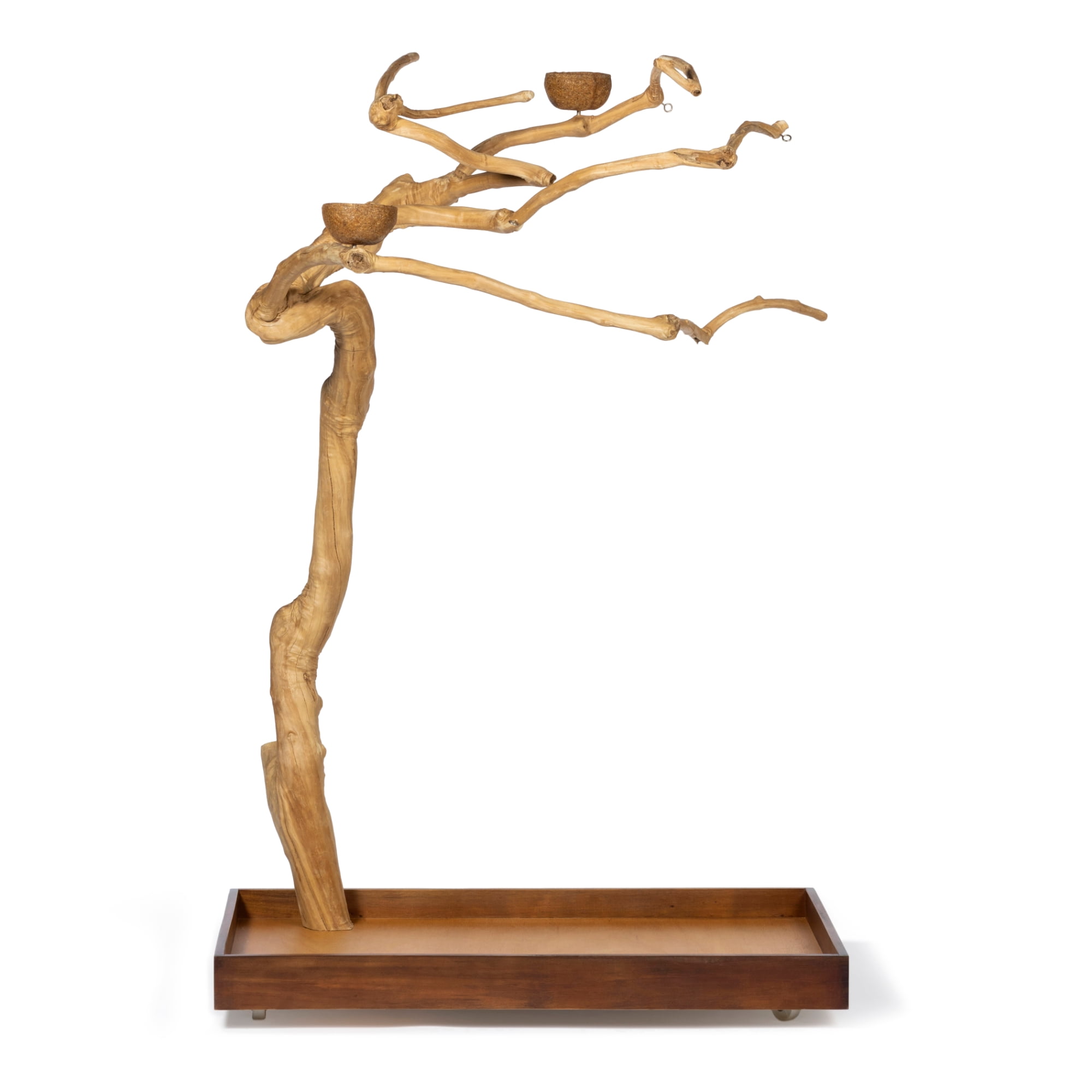 Medium Natural Coffeawood Java Tree Bird Playstand