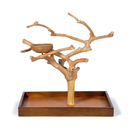 Prevue Pet Products Coffeawood Java Tree Minis Medium Table Top Playstand Perch, Natural Brown Wood 22634