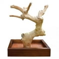 thumbnail image 1 of Prevue Pet Products Coffeawood Java Tree Minis X-Small Table Top Playstand 22632, 1 of 4