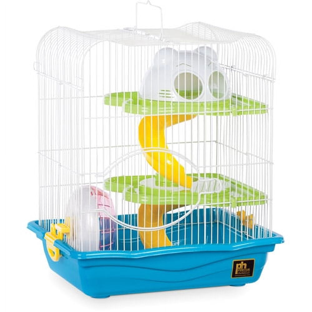 Dominant Spot Hamster » Pet Profile: Cage, Food, Lifespan