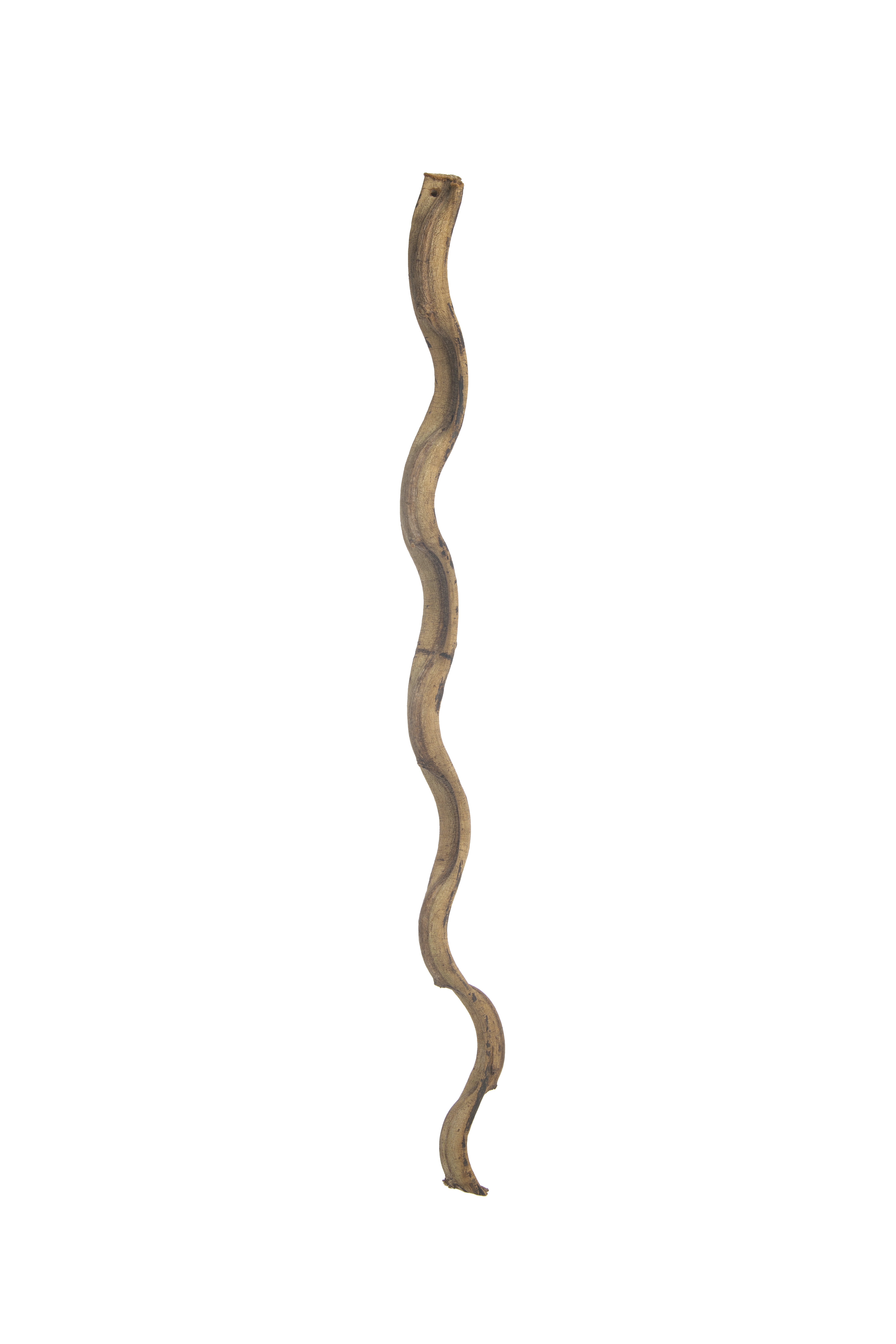 Wacky Wood 36-Inch Natural Lima Root Bird Perch
